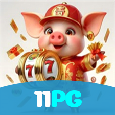 Problemas de Login no 11PG