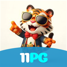 Login no 11PG