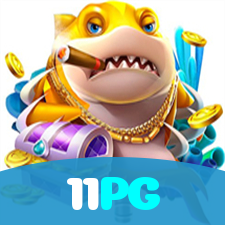Login no 11PG